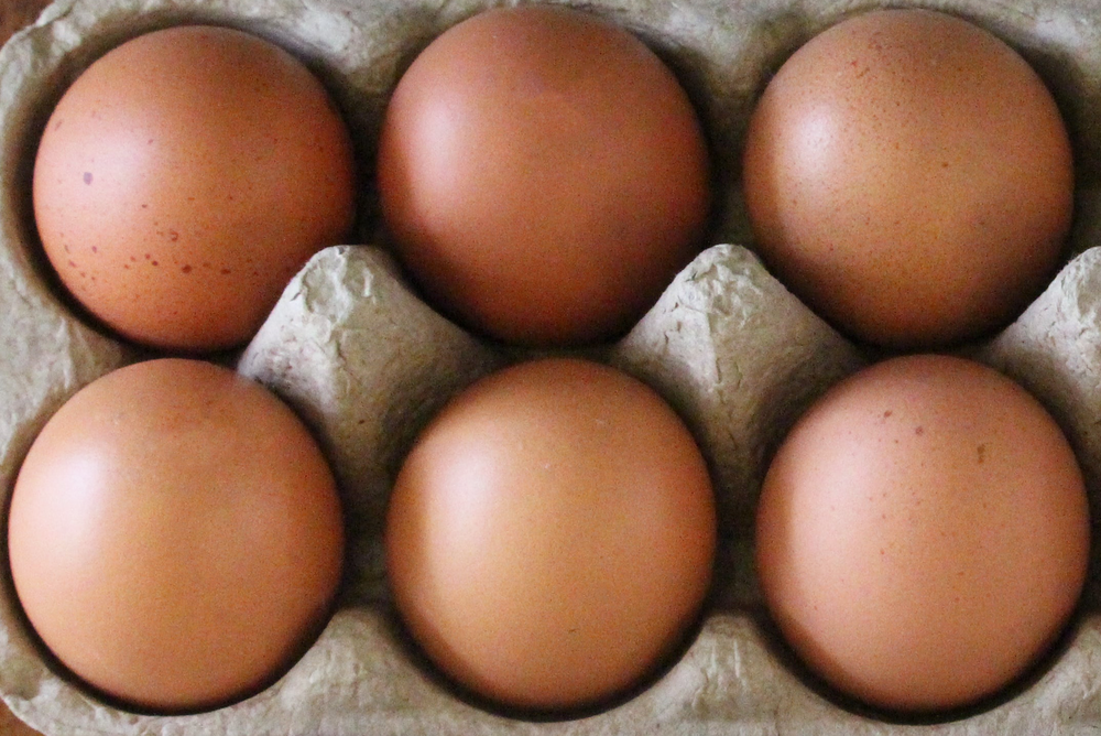 Free Range Organic Eggs