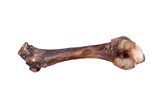 Dried Lamb Cannon Bone