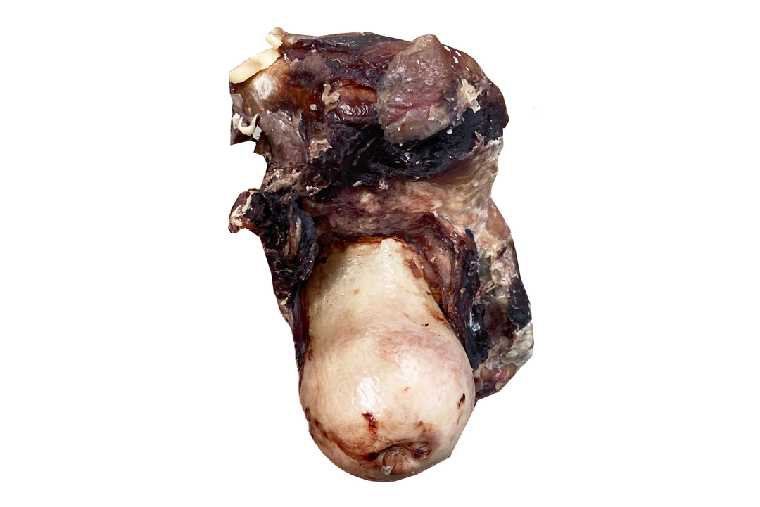 Dried Beef Bones - Knuckle Bone