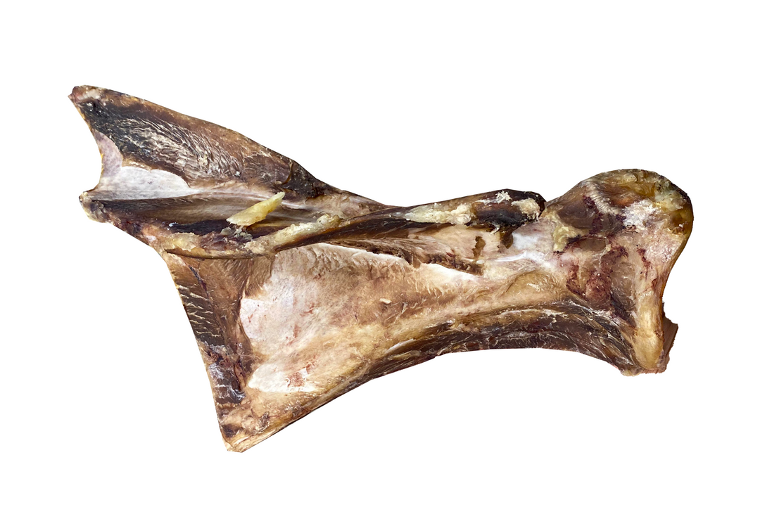 Dried Beef Bones - Paddle Bone