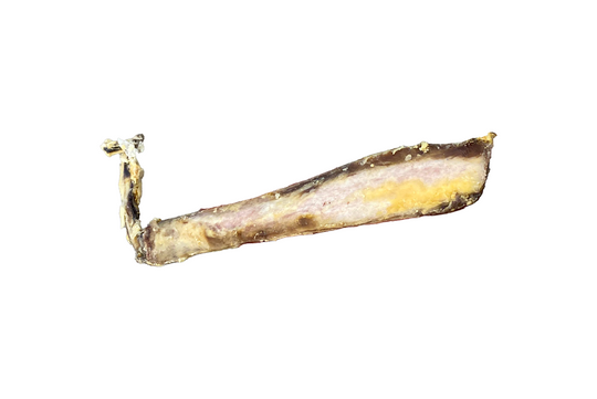 Dried Beef Bones - Rib Bone
