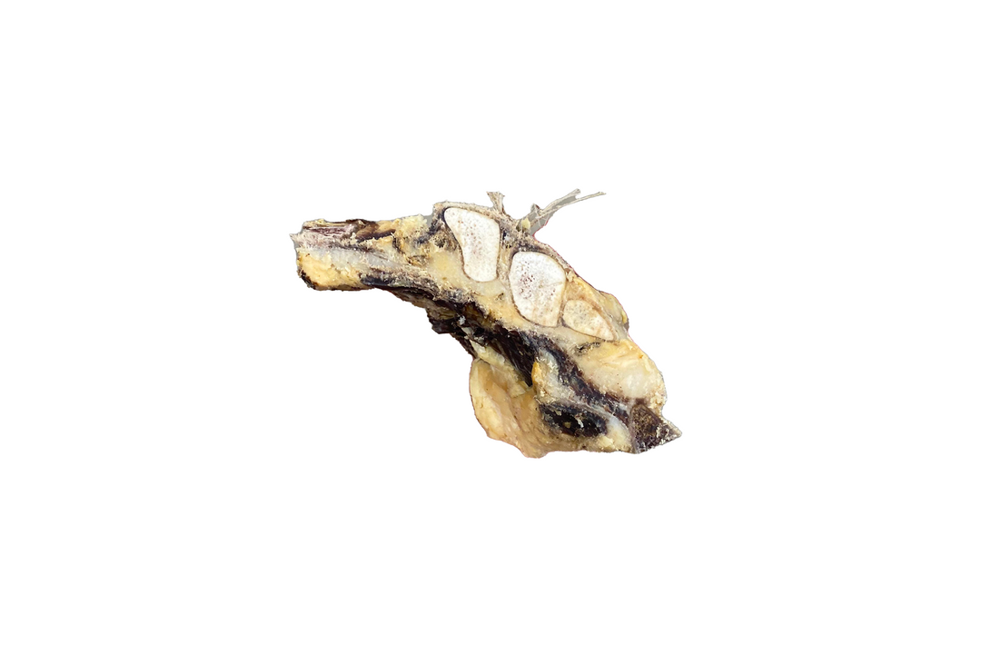 Dried Beef Bones - Thick Bone