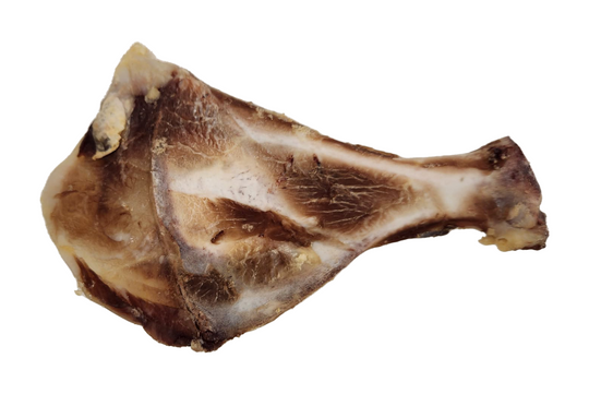 Dried Lamb Shoulder Bone